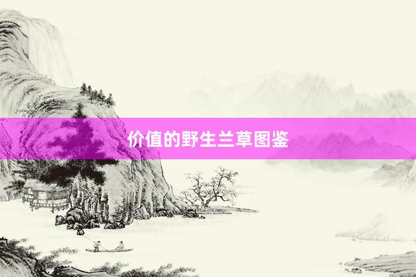 价值的野生兰草图鉴