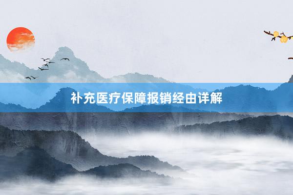补充医疗保障报销经由详解